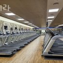 스포테라 이미지