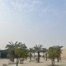 (주)세이프티메디칼 이미지