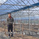 한림농원 이미지