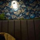 중원중앙-D-4 이미지