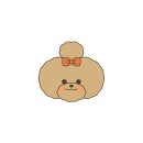 뚜니살롱 이미지