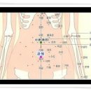 관원(丹田)혈 효능 이미지