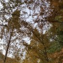 용소웰빙공원(입구) 이미지