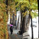 몽마르뜨빌 이미지