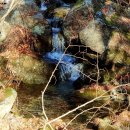 월명루 | 영주 소백산 비로사