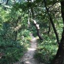 고지혈증의 이해와 관리 | 혈압 150 관리 방법