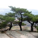소나무풍경 - 김포시 양곡로373번길 61-26 | 소나무풍경