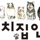 마치집인냥 이미지