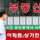 대로공인중개사사무소 이미지