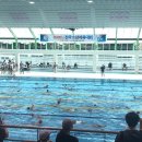 제47회 전국소년체육대회 수영(경영) 이미지