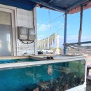 소라집 | 제주 | 성산 보말죽 해산물 맛집 해녀 소라네집