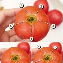 아까운 '토마토 과즙 안흘리게' 깔끔히 자르는법 이미지