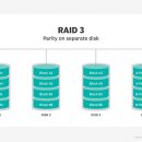 RAID 네이버블로그