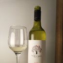 패밀리트리(family tree) 이미지