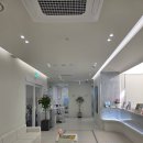 하루치과의원 | 강남 레브치과의원 원데이치아미백 내돈내산후기｜하루 3회 받고 바로 2단계 밝아진 솔직 경험 (시림...
