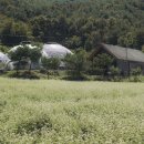 맹개마을 이미지