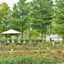 순천만국가정원 이미지