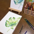 색연필화 | [수강생 후기] 수원 장안구j.painting 작업실에서 색연필화 정규반 후기 _ 직장인, 혼자만의 시간, 태교...