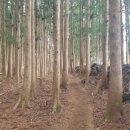 성기목장 이미지