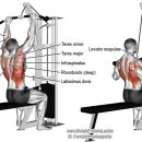 매직바디짐 이미지