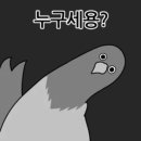 랜드앤드