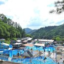 프리메라1 이미지