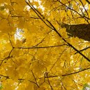 흥진산업주식회사 이미지