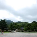 고산 제2농장 이미지