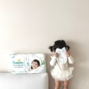 잇네이처 | 팸퍼스 2026 터치 오브 네이처 팬티 사용후기, 흡수력 영상공유