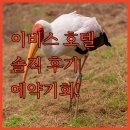 유스호텔 진입로  유스호텔 | 암만 '이비스 호텔' 생생 후기! 위치, 청결, 서비스 모두 만족! 마지막 예약 기회를 잡아보세요!