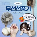 (주) 신세계파트너스 | 무선 선풍기 추천] 이유 | 이 정도면 캠핑용 무선 서큘레이터로도 충분한데요 (feat.내돈내산 리얼후기)
