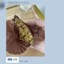 장원태권도 | 마이머랭 두쫀쿠 성공방법 그리고 솔직 후기