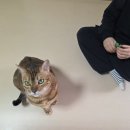 오오뎅뎅 네이버블로그