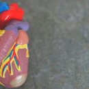 경대하트연합내과의원 이미지