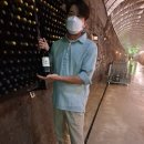 와인갤러리 이미지