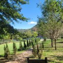 잣나무집정원 | [남이섬 몰아보기] 남이섬 완벽 가이드｜당일치기·가족·커플 코스 총정리 숙소 가평 명소