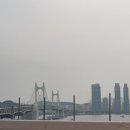 쑥이네횟집 이미지