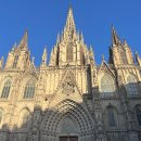 엘투어여행 | [26.barcelona]6월바르셀로나 여행,허빵투어,야경투어,엘그롭후기,호텔추천,호텔암빗,바셀숙소추천
