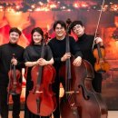 JADE409(제이드409) 이미지