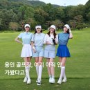 금호타이어 서분당IC점 | 블루원 용인CC 라운딩 후기｜코스 특징부터 홀 공략까지, 직접 가기 전 알아두면 좋은 것들