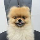 멍그라미 이발소 이미지