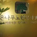 은나무