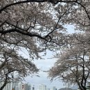 남천동 공영자전거 무료대여소 | 부산 광안리 자전거 무료 대여, 남천동 공영자전거 무료대여소 대여방법, 신분증, 운영시간, 대여 후기