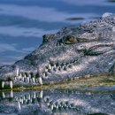 악어상사 이미지