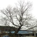 뇌조3리 이미지