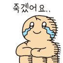 보미 펫 살롱 이미지