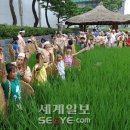제주농요 이미지