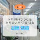 샤론안경원 | [샤론안경원] 솔직후기 섬세한 맞춤 큐레이션 + 최신 시력검사 블루라이트 차단 안경 수원 맞춤 안경...