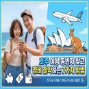 (주)신원렌터카 | 호주 여행 동반자 찾고 경비 절약하는 7가지 확실한 방법