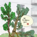 나무그림정원